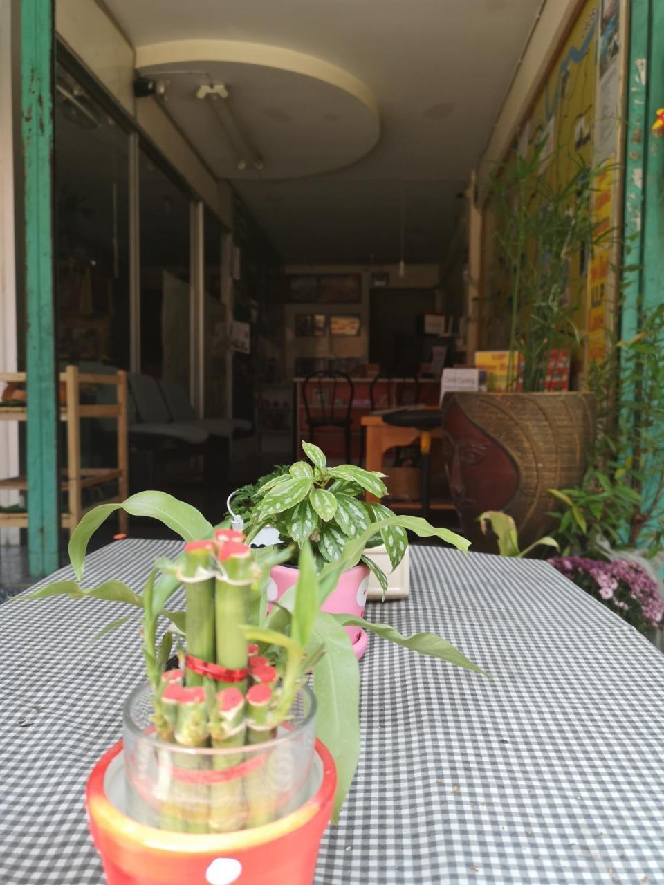 Sofia Hostel Chiang Rai Bagian luar foto
